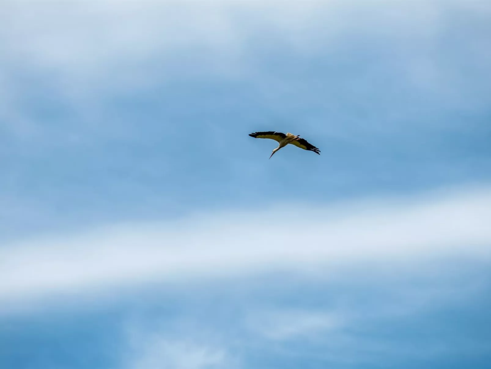 "Truels" - 30km from the sea-Drinnen