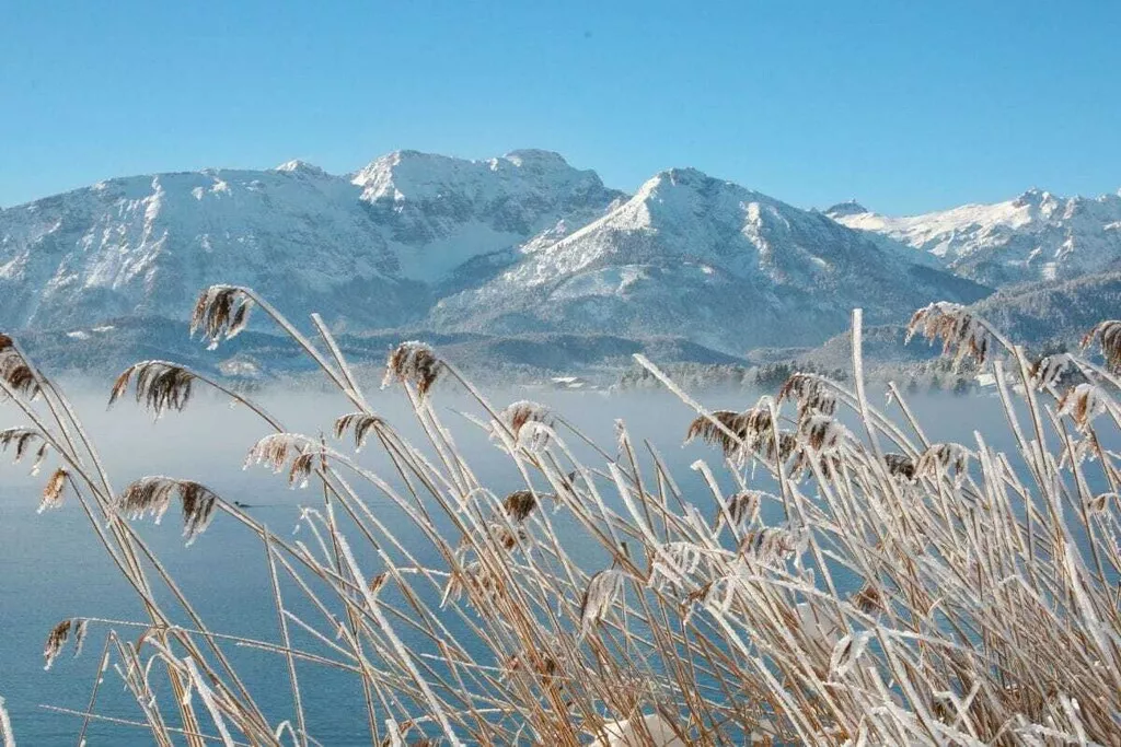 59980-Nicht zugeordnet