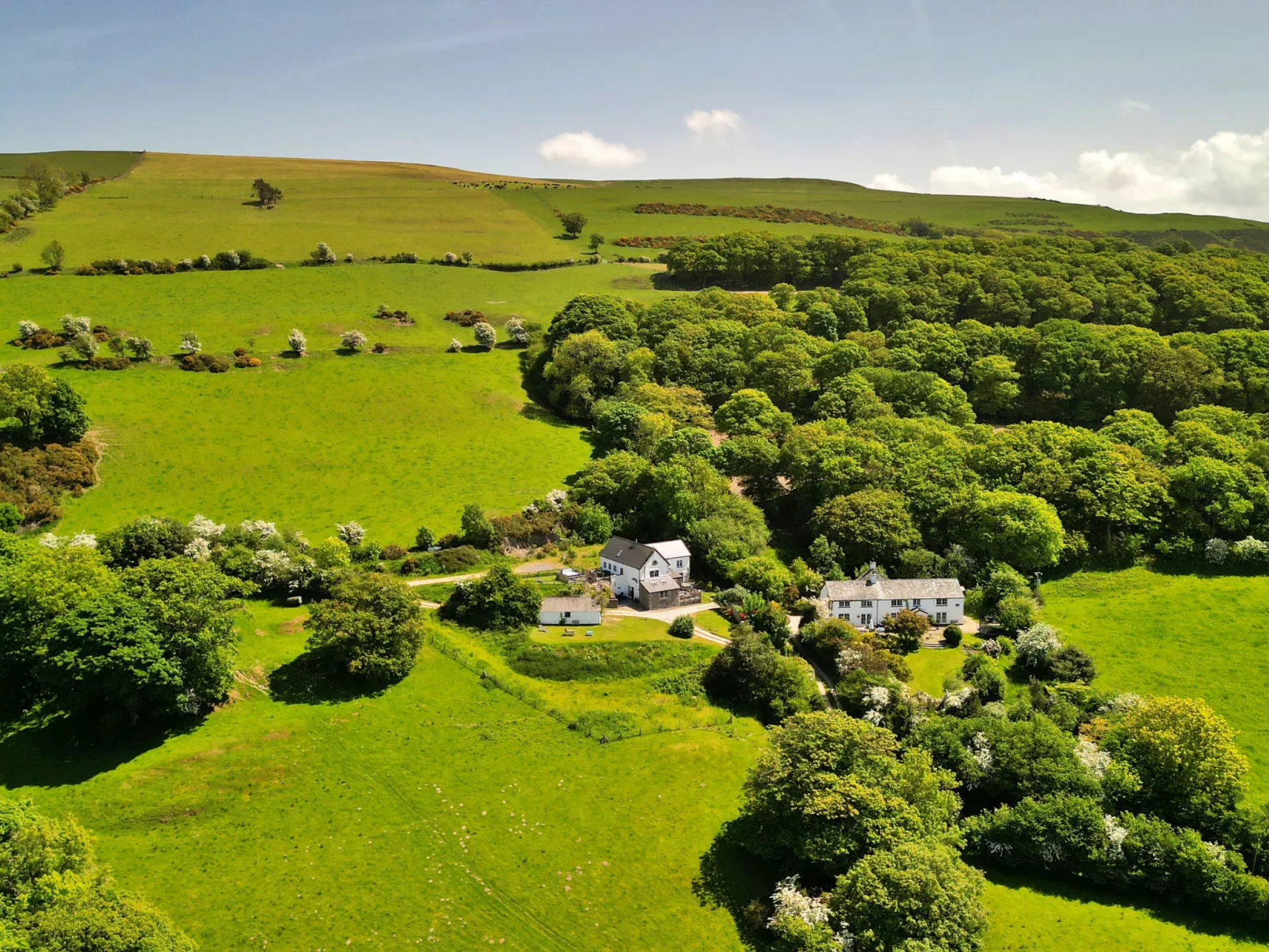 Red Kites Retreat-Dehors
