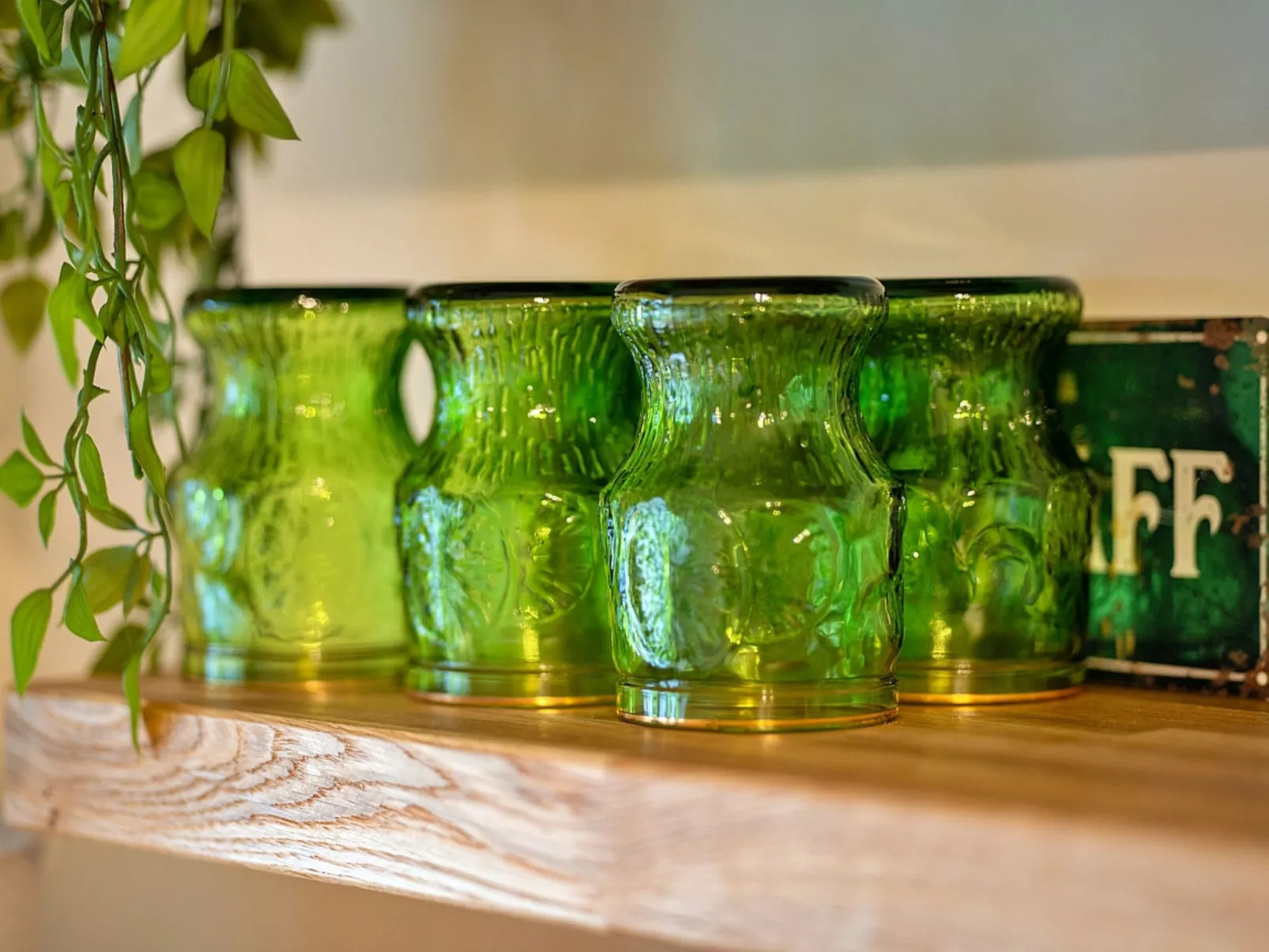 The Thatch at Winterborne Houghton-Dehors