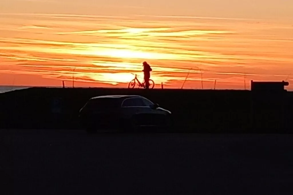 295839-Nicht zugeordnet