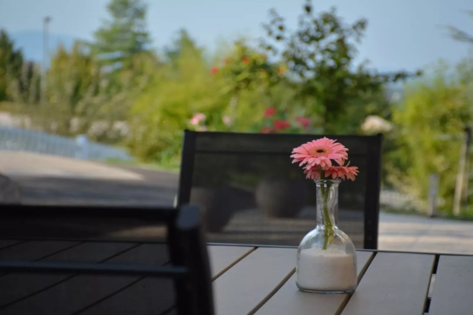 Zevnik Quiet Retreat with Stunning Views and Equestrian Activities - Standard One Bedroom Apartment-Outdoor