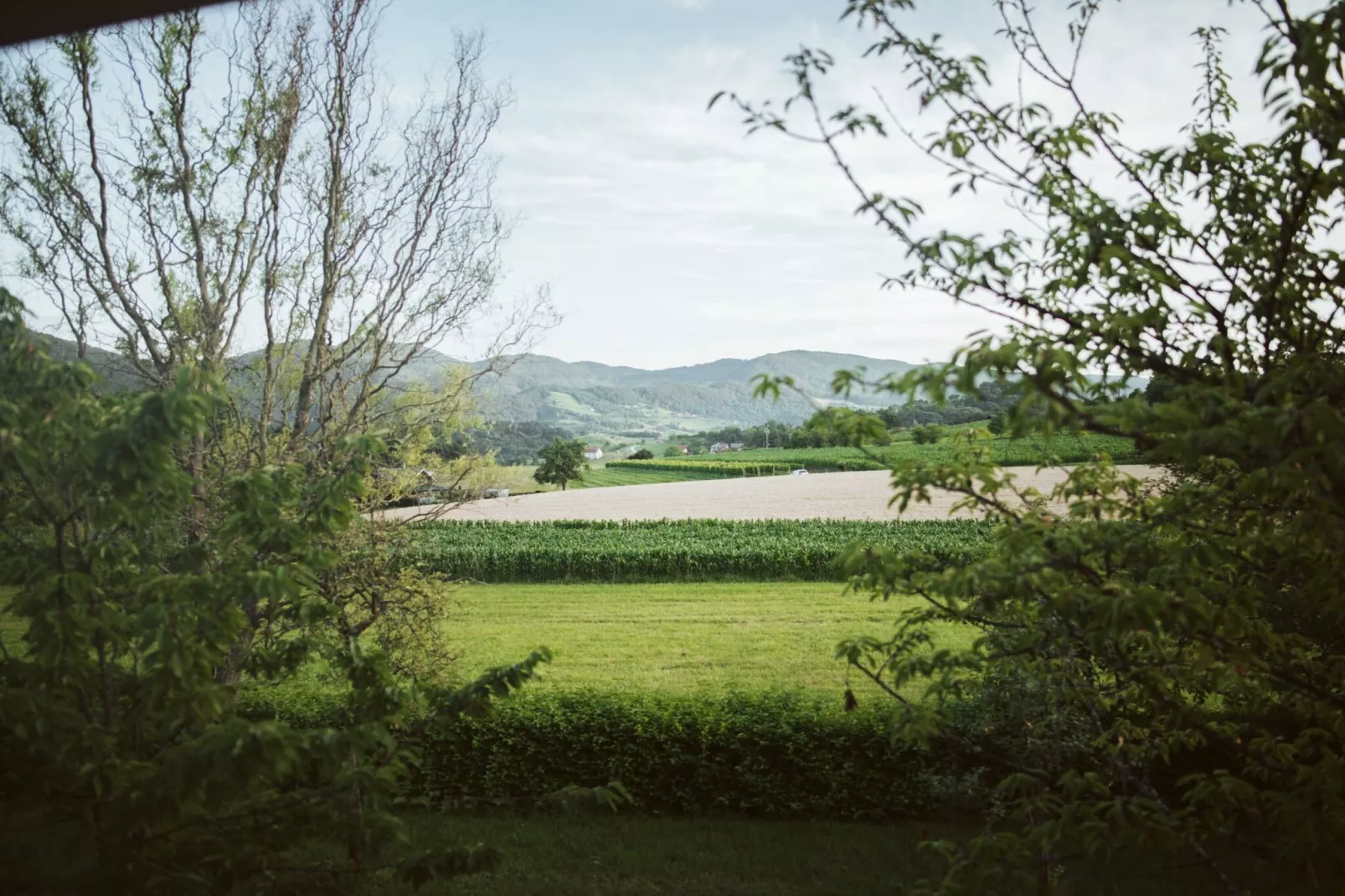 Cozy Holiday Home with Fireplace and Scenic Hills in Bistrica ob Sotli - Two Bedroom Holiday Home-View