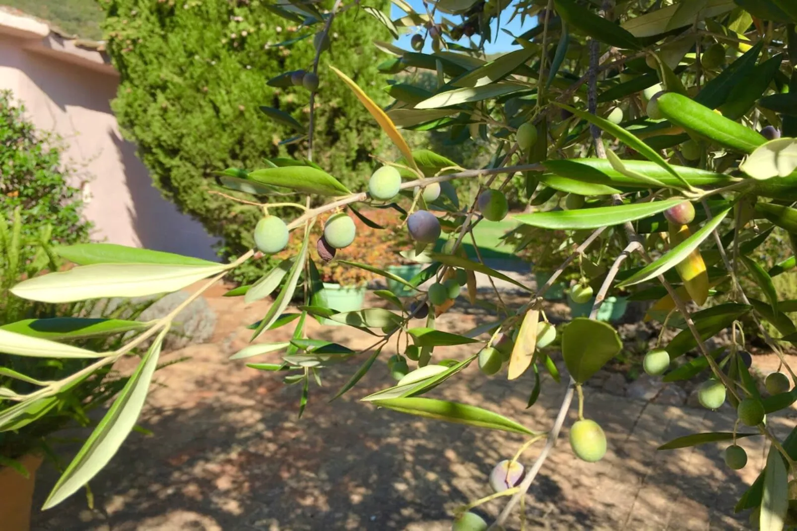 Villa della Fonte-Ambiance