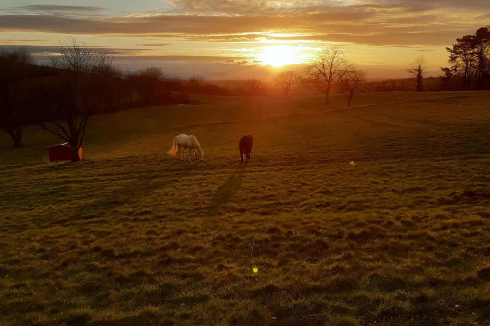 Luxuriöses Wohnen im historischen Haus-Zones été à 5 km