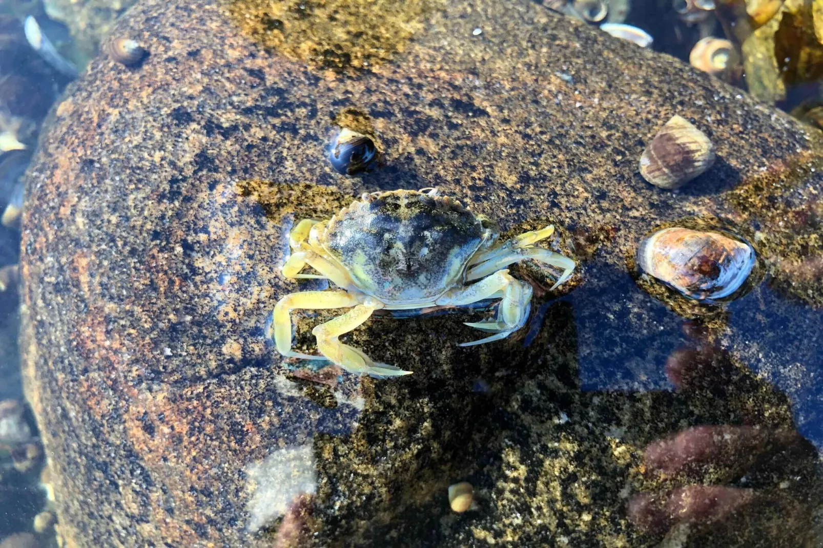 5 etoiles maison de vacances a Grevinge-Non tagué