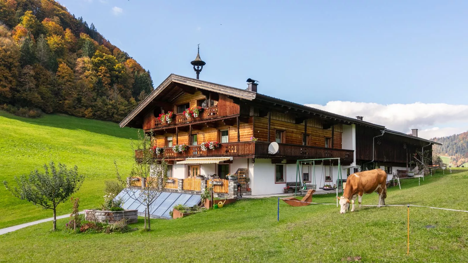 Tiroler Bergtraum Top 2-Extérieur été