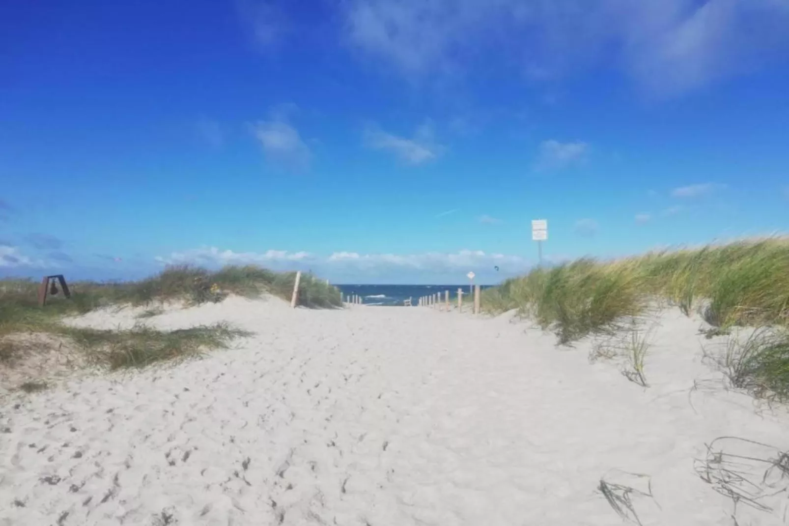 Hausboot in Ribnitz-Damgarten-Areas within 20km in summer