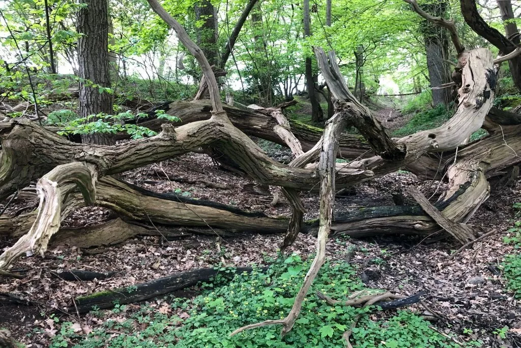 516982-Nicht zugeordnet