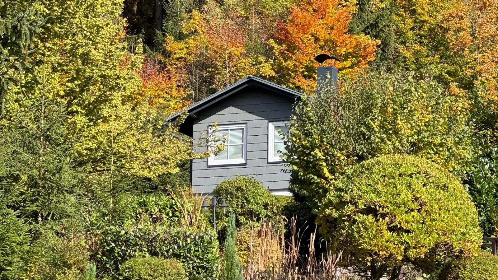 Am Arnsberg-Außenbereich Sommer