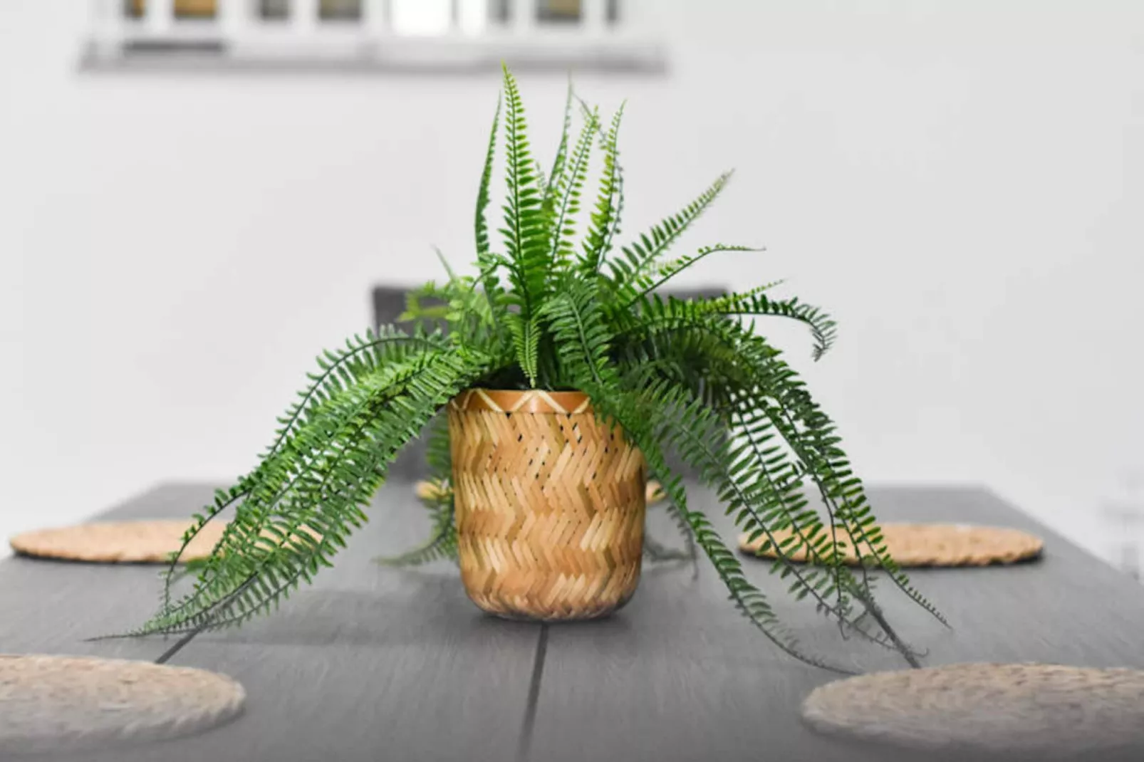 Maison à Moncofar-Non tagué