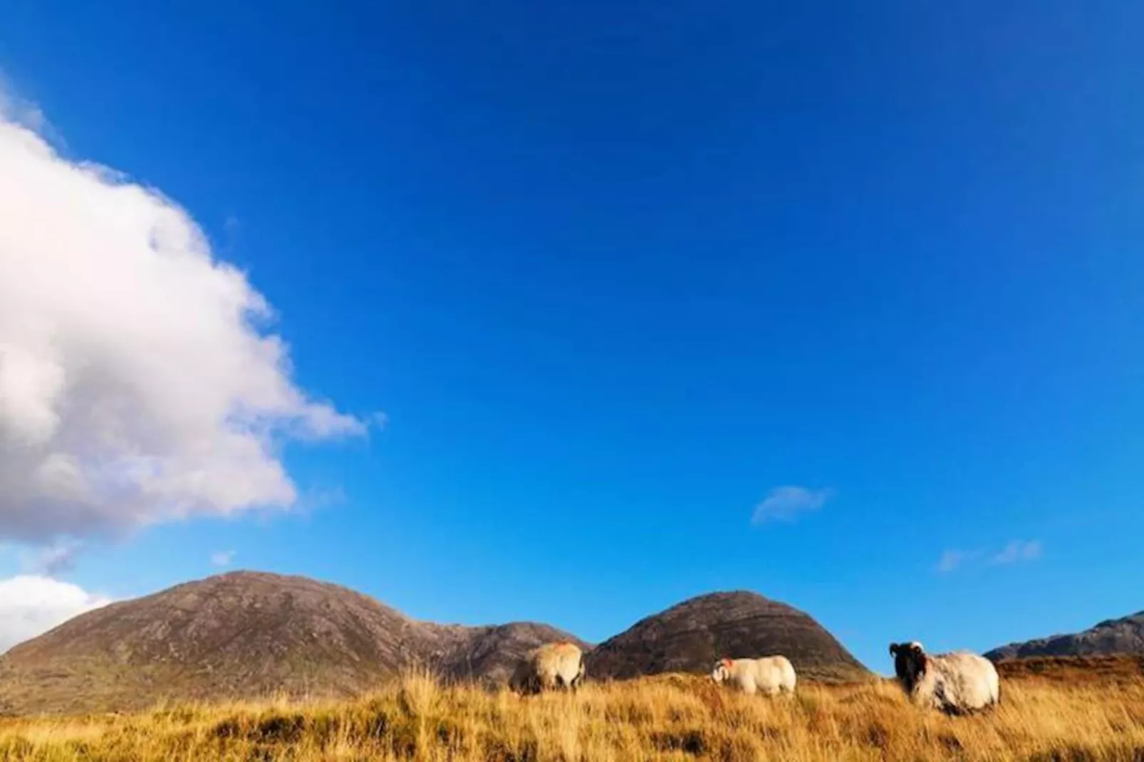 Maison à Cleggan Galway-Nicht zugeordnet