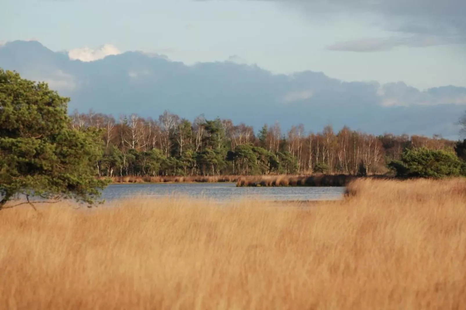 Vakantiepark Molenvelden 6-Zones été à 20 km