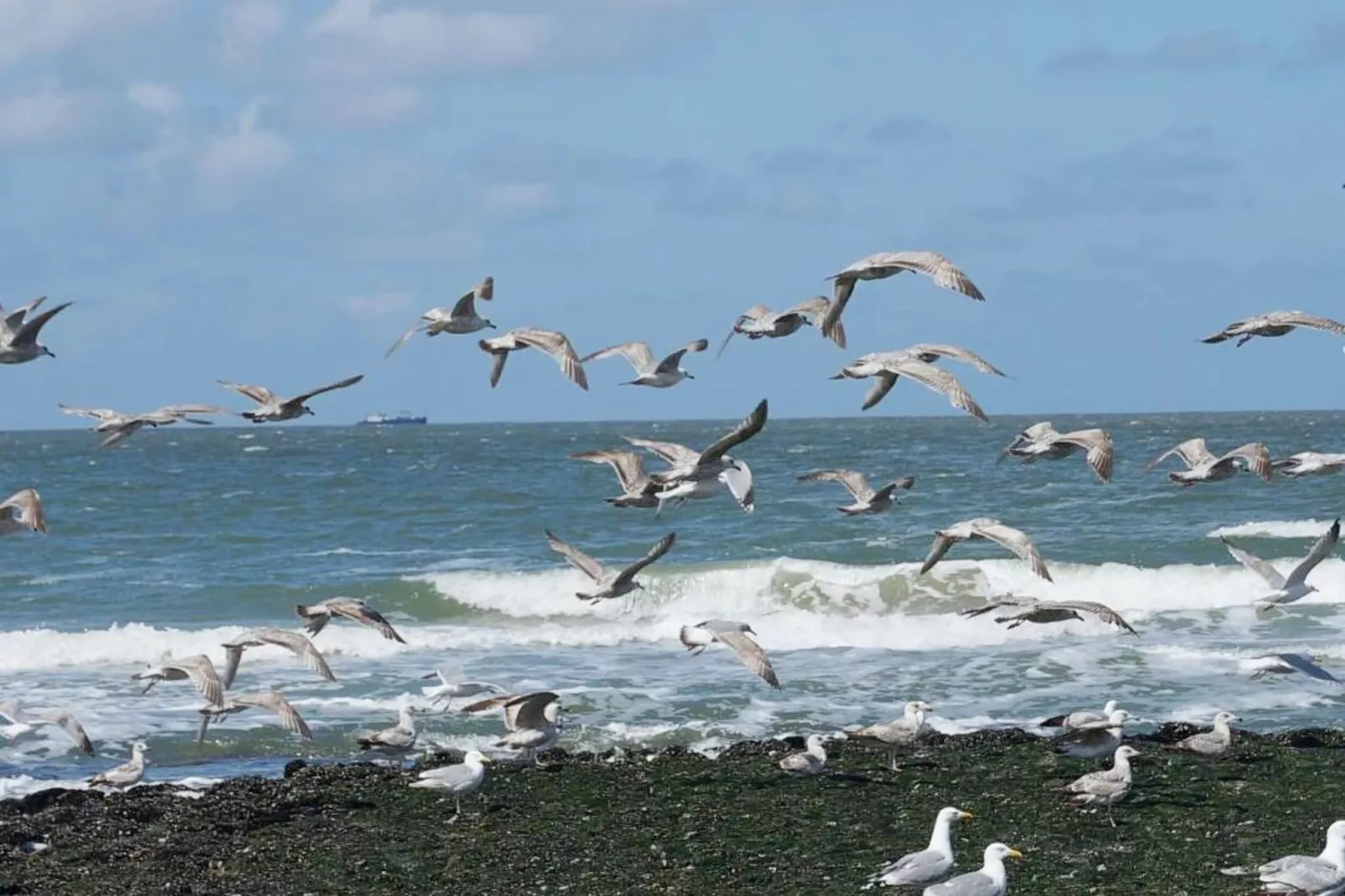 De Biotoop-Areas within 20km in summer