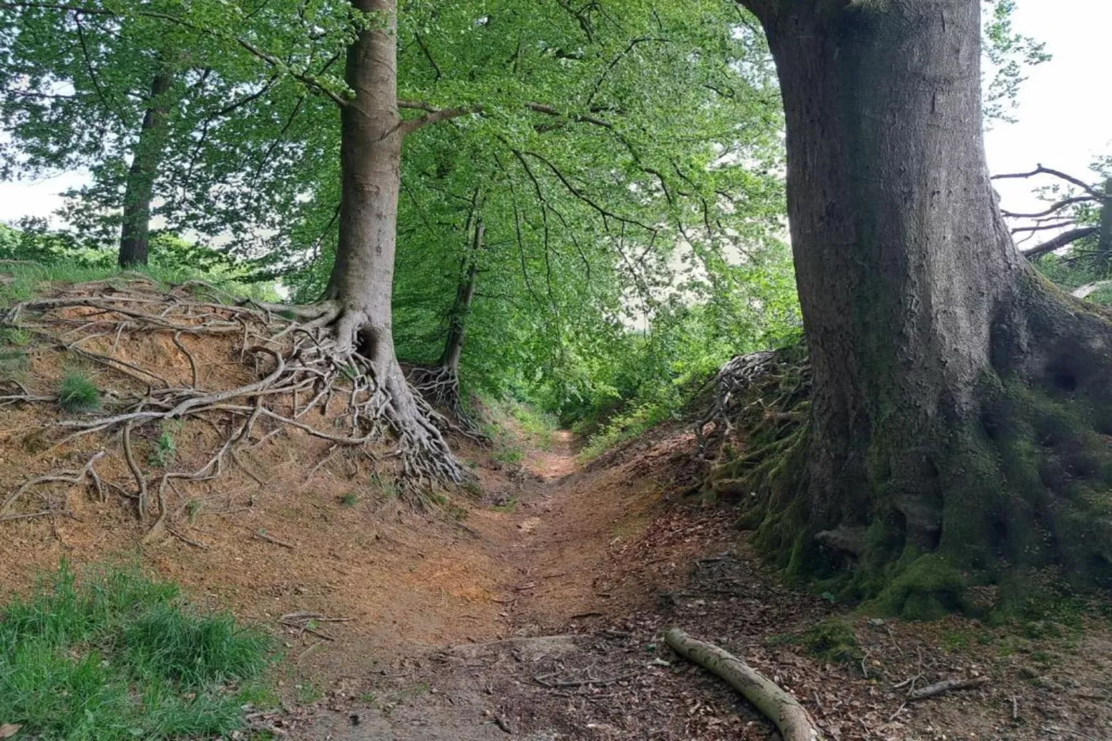Villapark Ehzerburg 2-Areas within 20km in summer