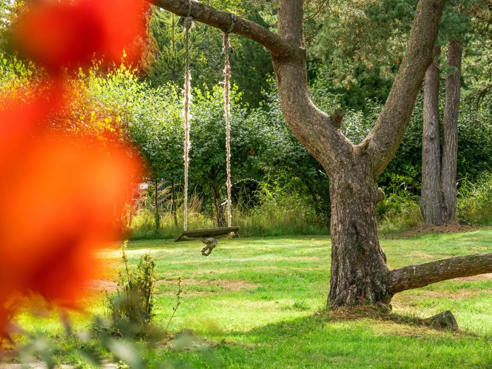 "Ariela" - 1.1km from the sea-Dehors