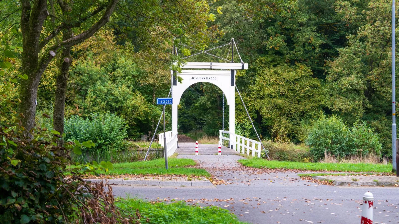 Rutershoeske-Areas within 1km in summer