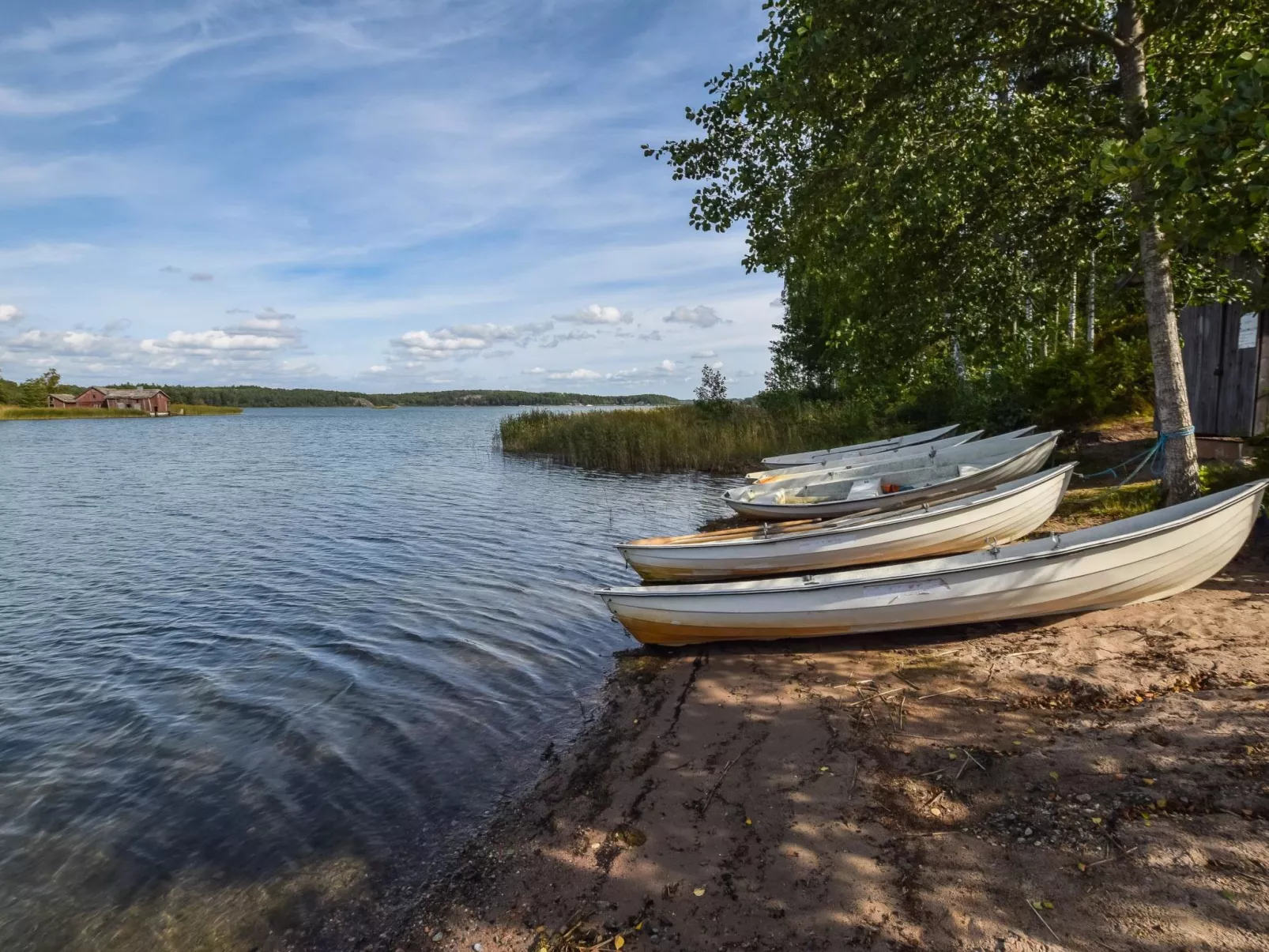 Isokoskelo 5-Drinnen