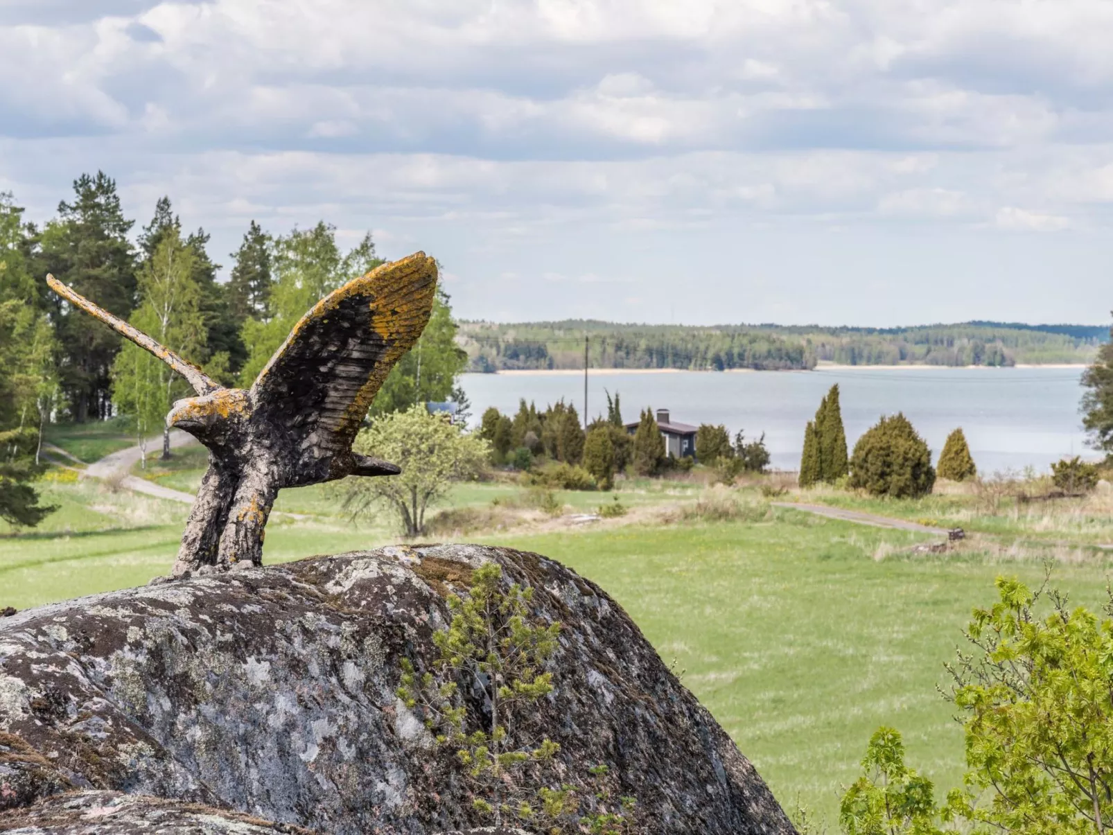 Villa pääsky-Drinnen