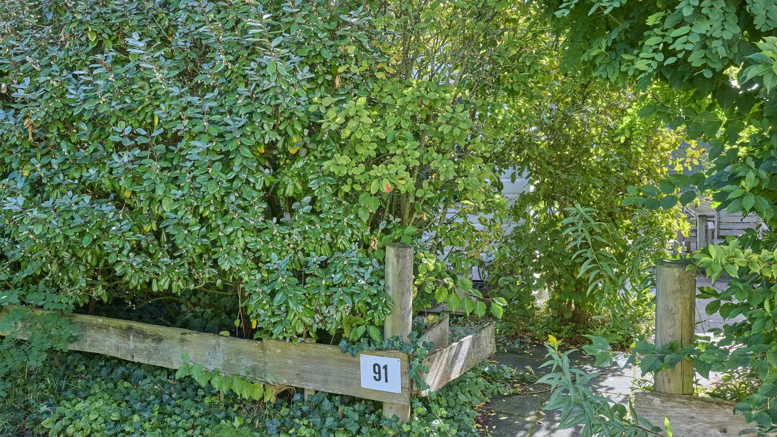 Chalet Sea Birds-Gardens in summer