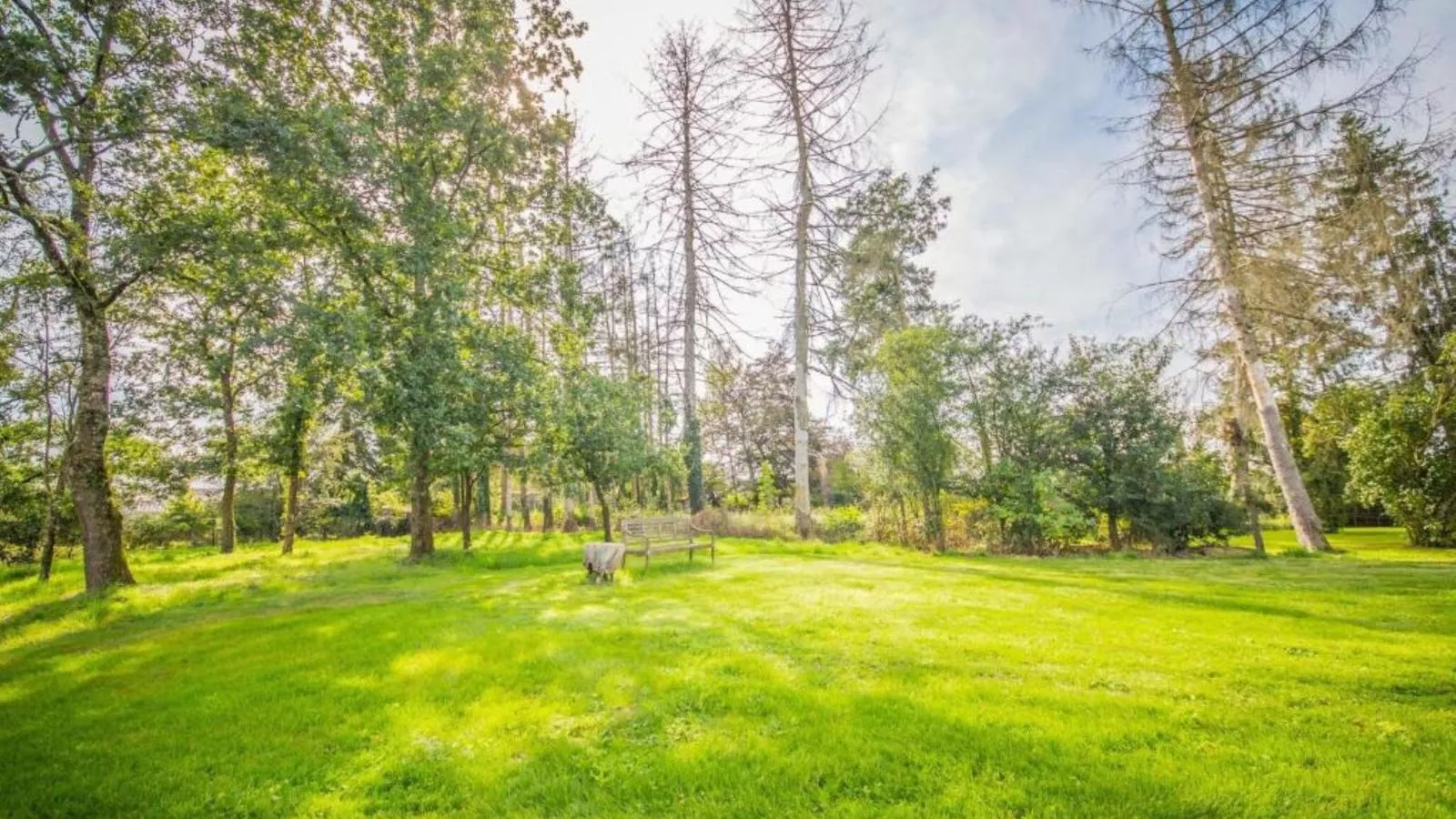 Ma Dame Jeanne-Gardens in summer