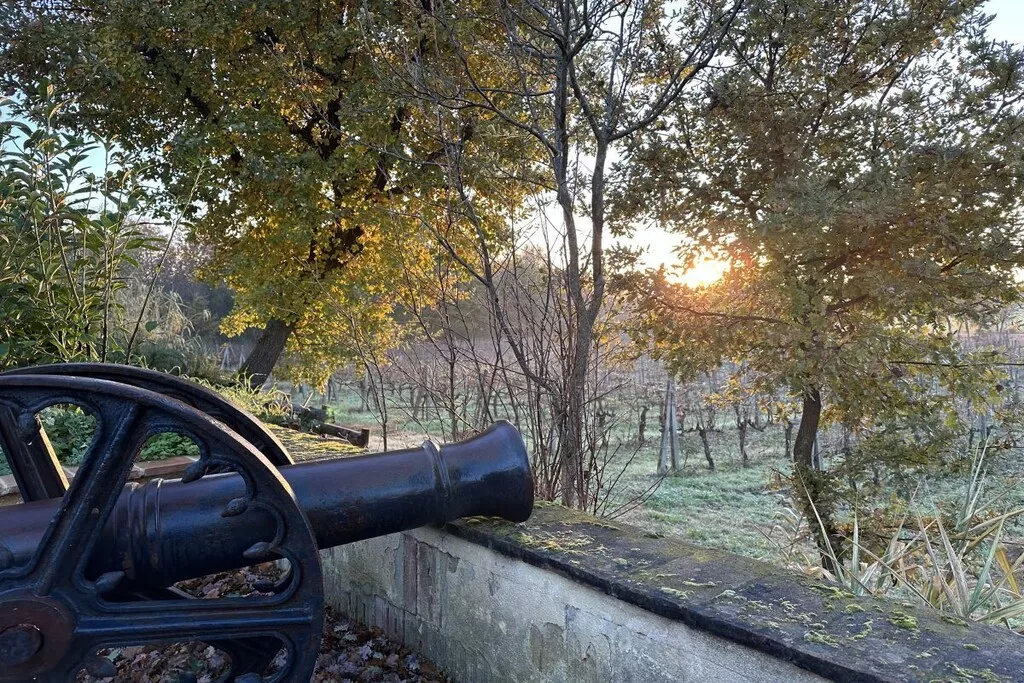 539356-Nicht zugeordnet