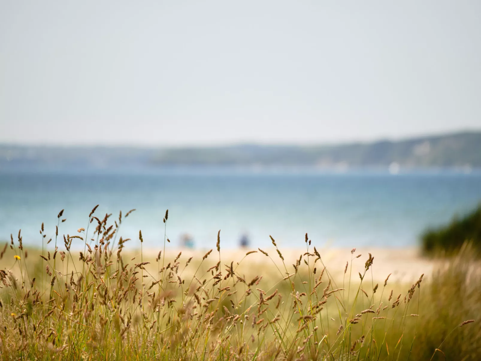 Primrose Cottage-Dehors