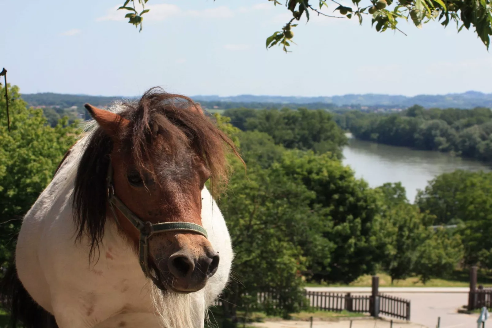 Zevnik Quiet Retreat with Stunning Views and Equestrian Activities - Family Room with Private Bathroom 8-Outdoor