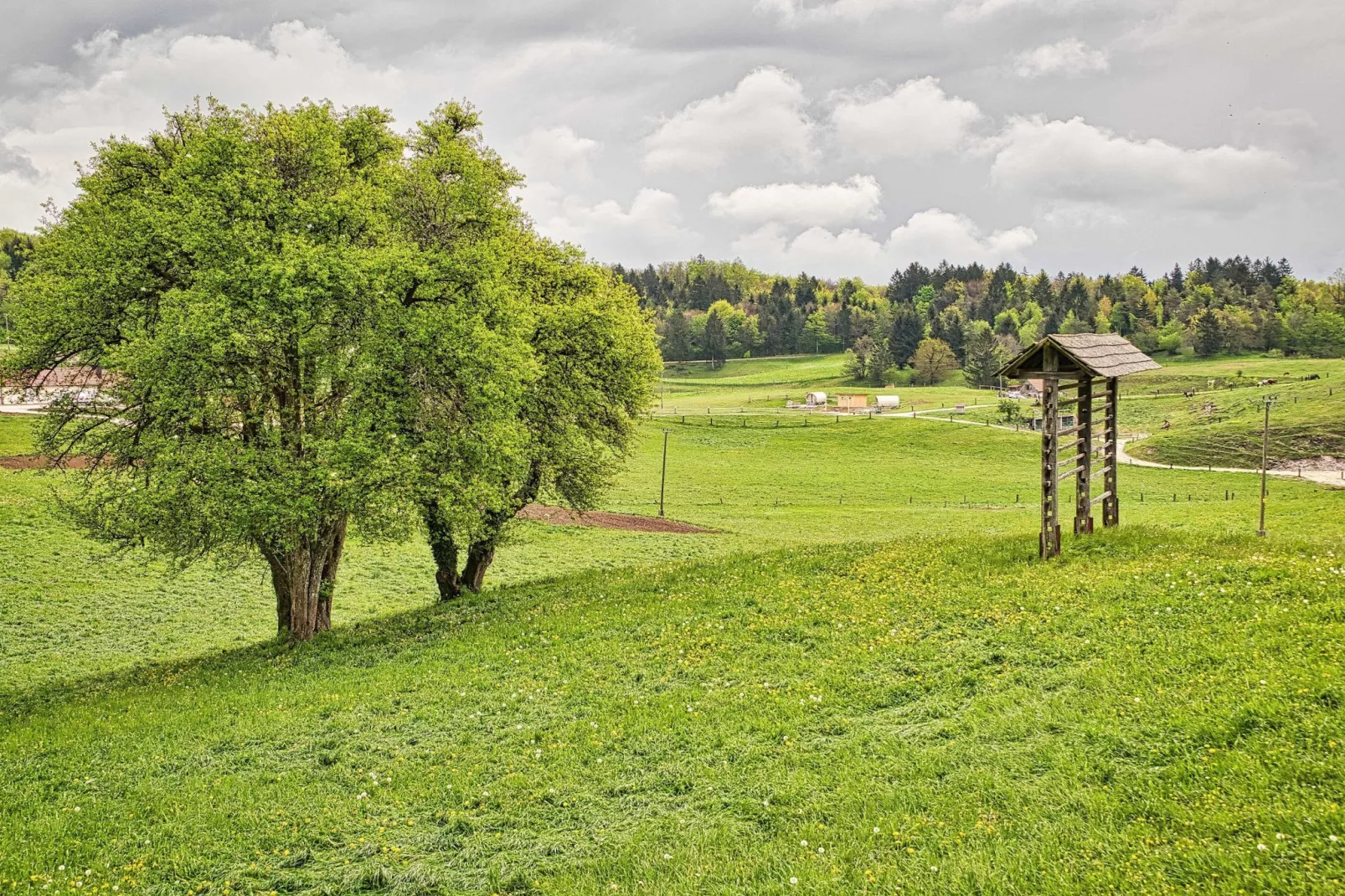 Visnja Gora Meadow Hideaway with Terrace - One Bedroom Cottage with Terrace (owner Hiška na skalci)-Im Freien