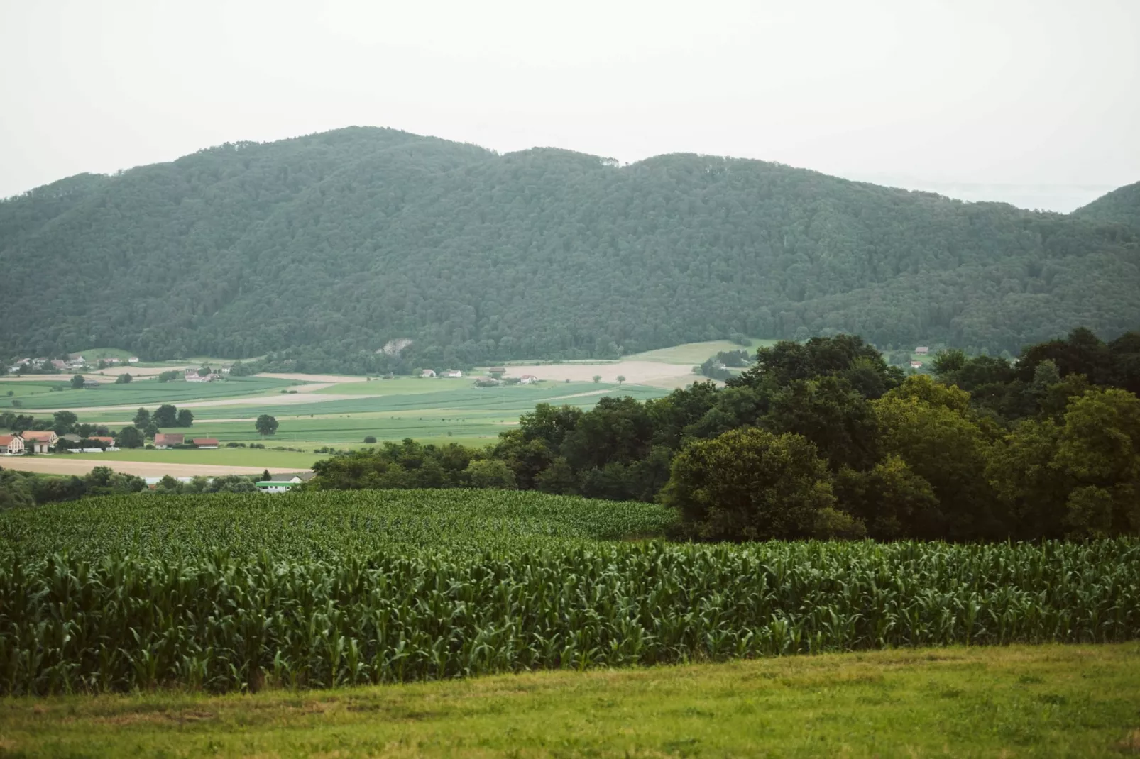 Cozy Holiday Home with Fireplace and Scenic Hills in Bistrica ob Sotli - Two Bedroom Holiday Home-View