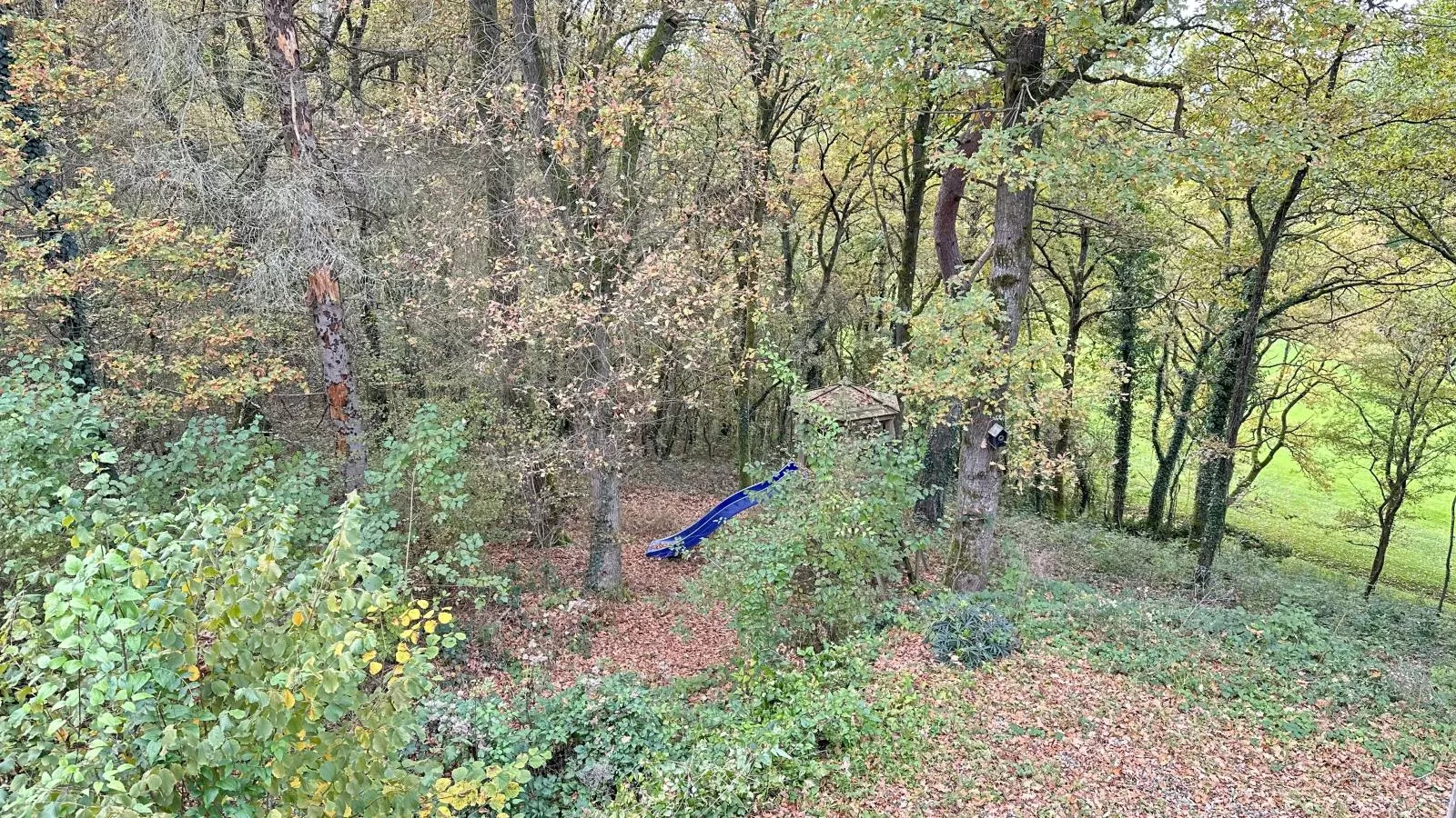 The Green-Vue d'été