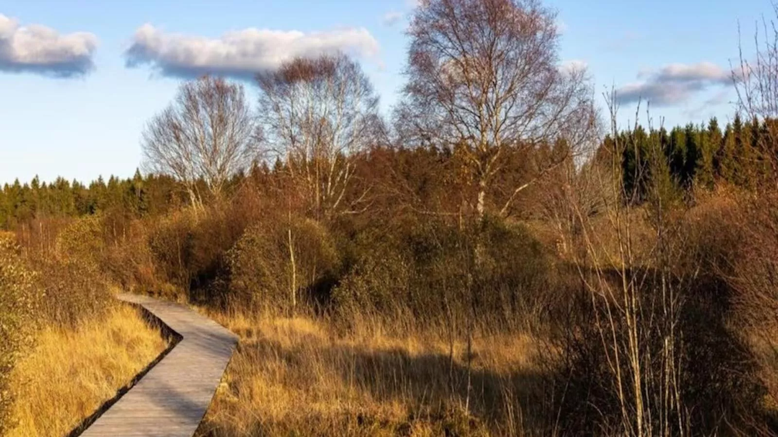Der Lebendige Garten-Zones été à 20 km