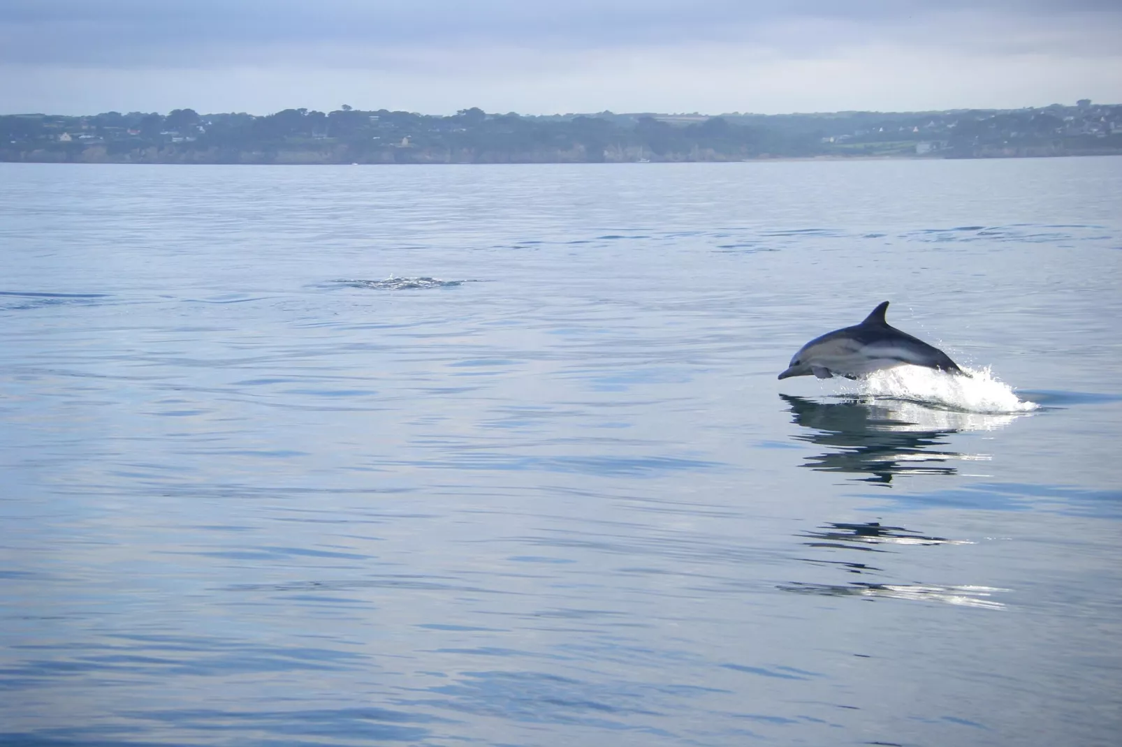 Maison de Vacances à Plougonvelin-Image-tags.
