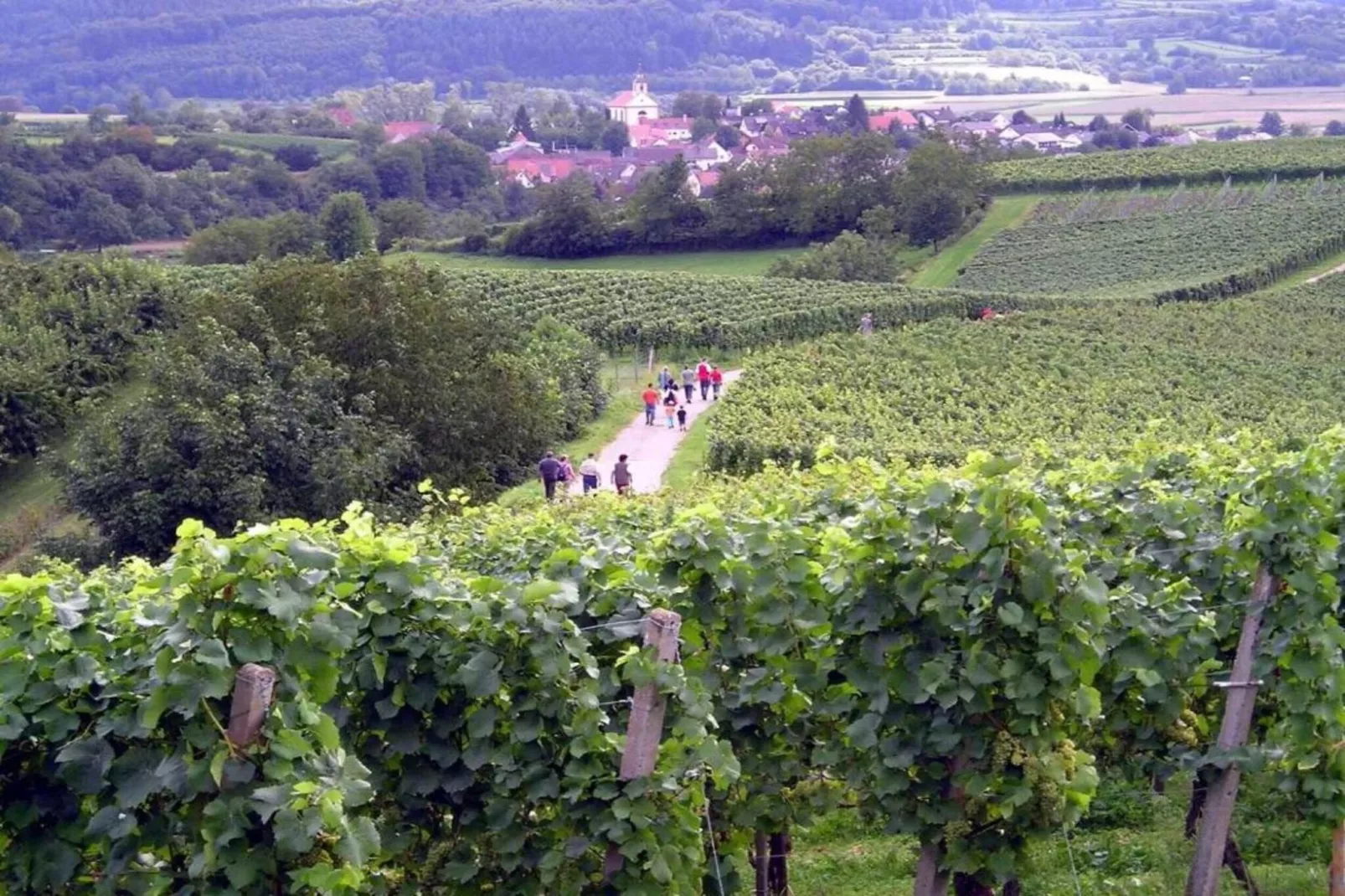 Luxuriöses Wohnen im historischen Haus-Zones été à 5 km