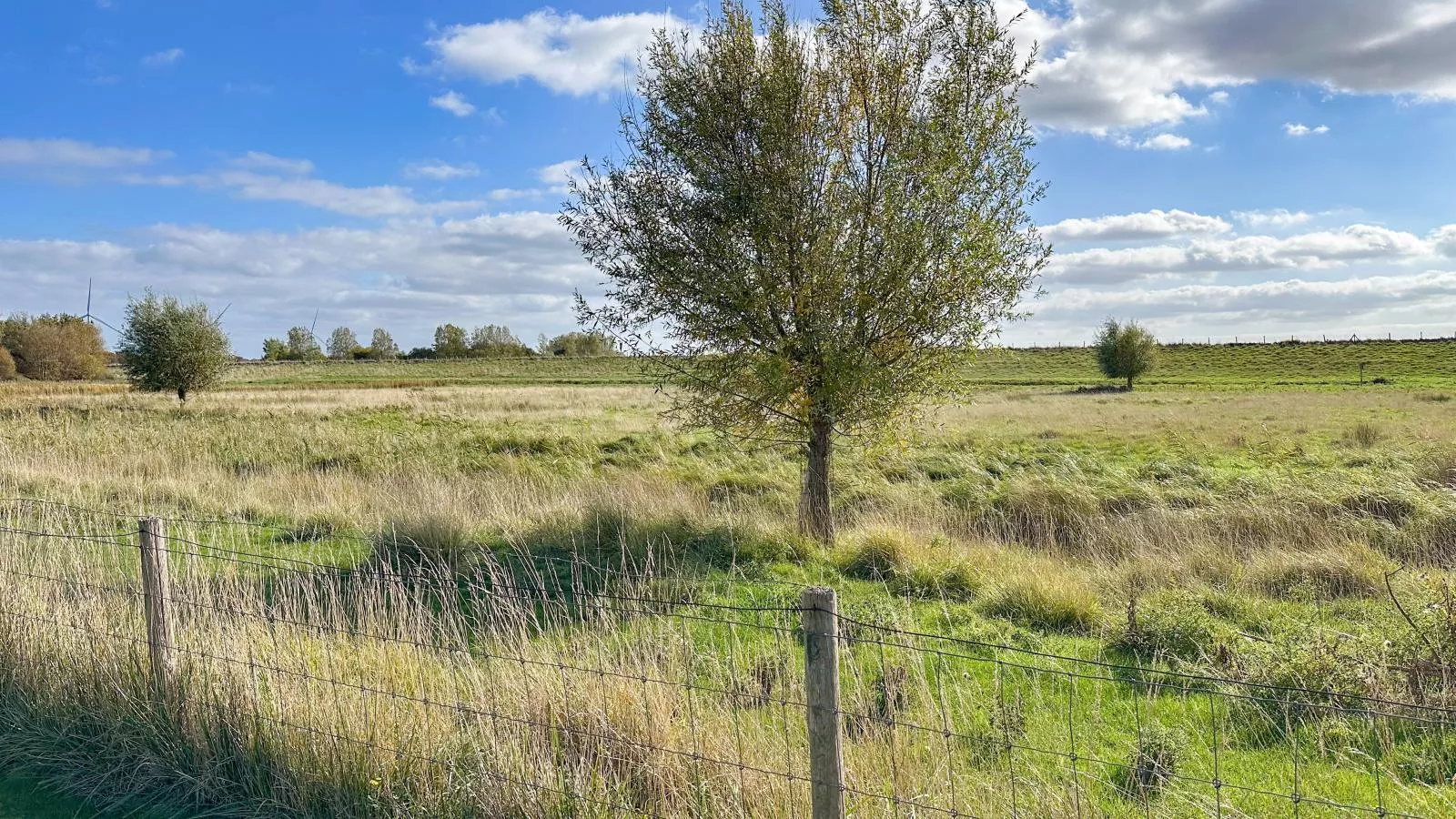 Dune Design 39-View in summer