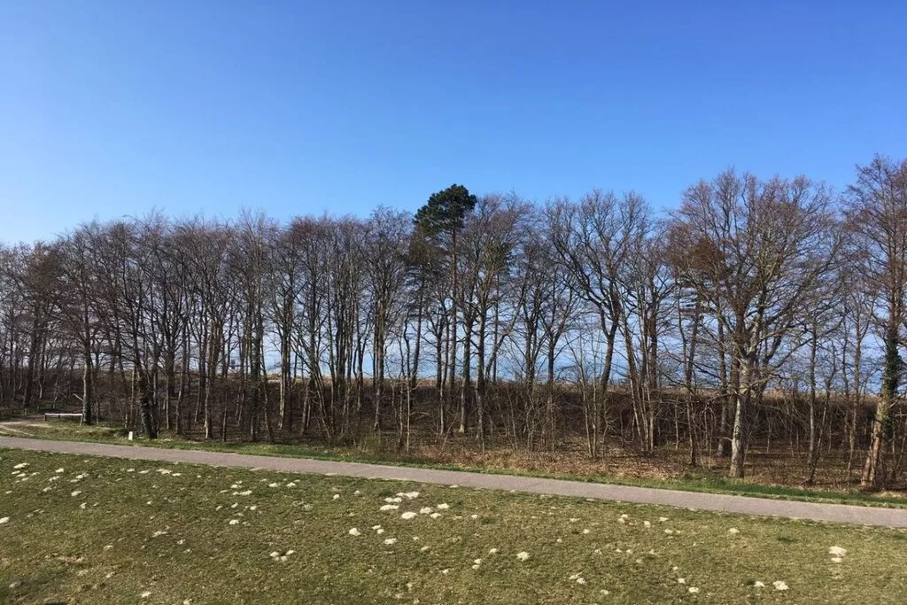 194972-Nicht zugeordnet