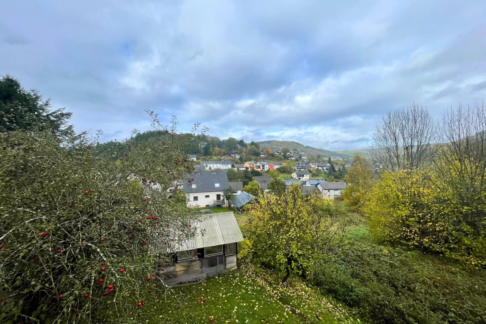Ferienhaus Birresborn-Vue d'été