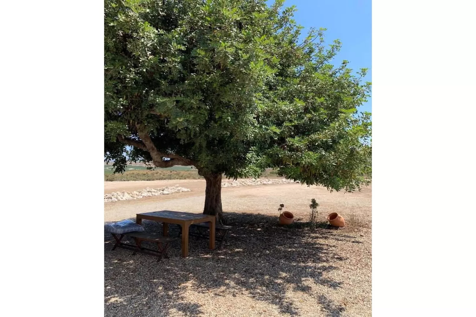 CT 354 AL - Faro's Casa Piedra - Agua Amarga - Cabo de Gata-Gebiete Sommer 5 km