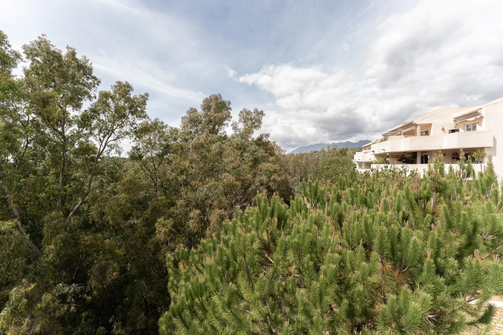 CT 366 - Faro's Silent Dream in Elviria - Marbella-Areas within 5km in summer