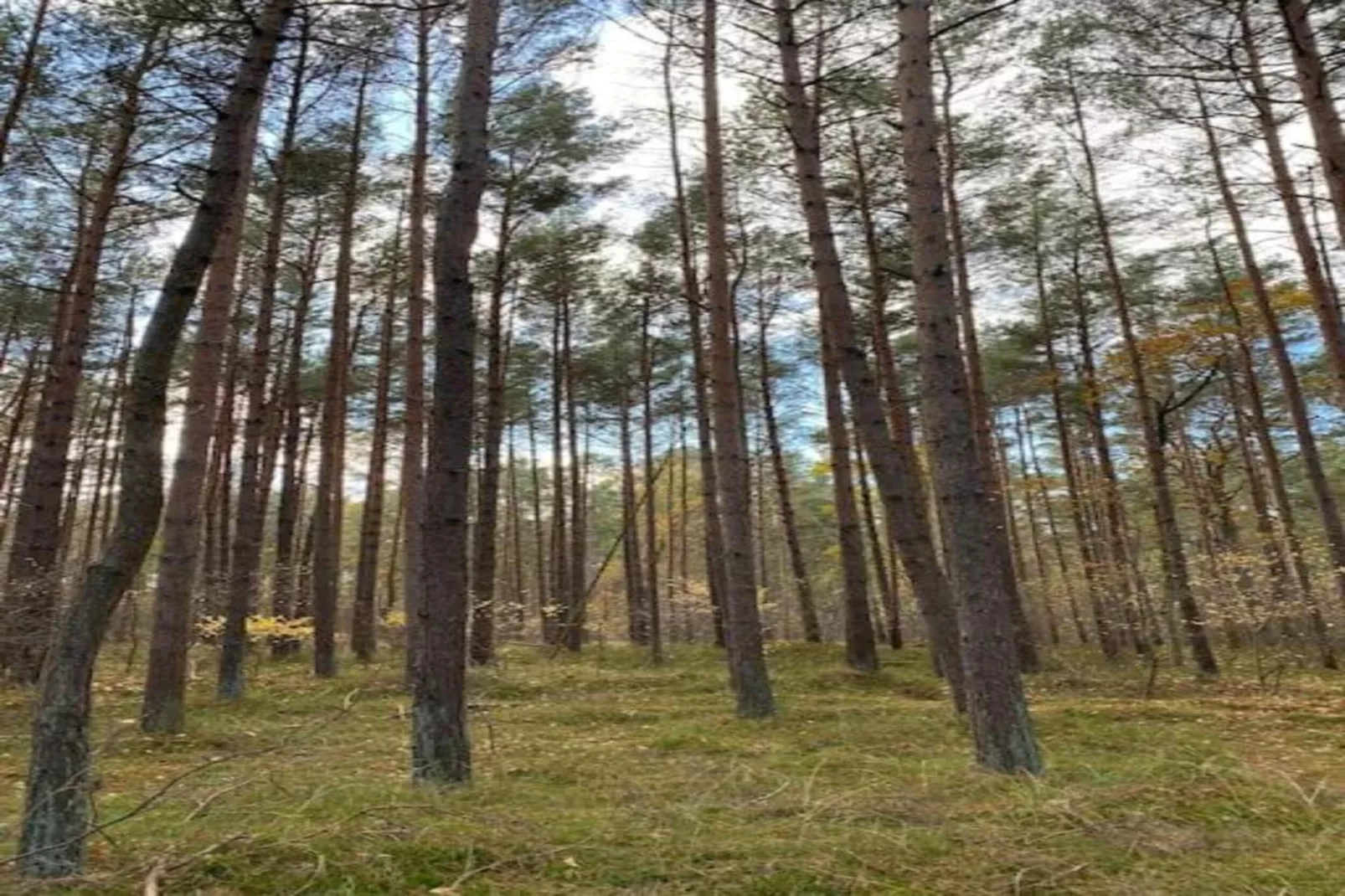 Hausboot in Peenemünde-Gebiete Sommer 20 km