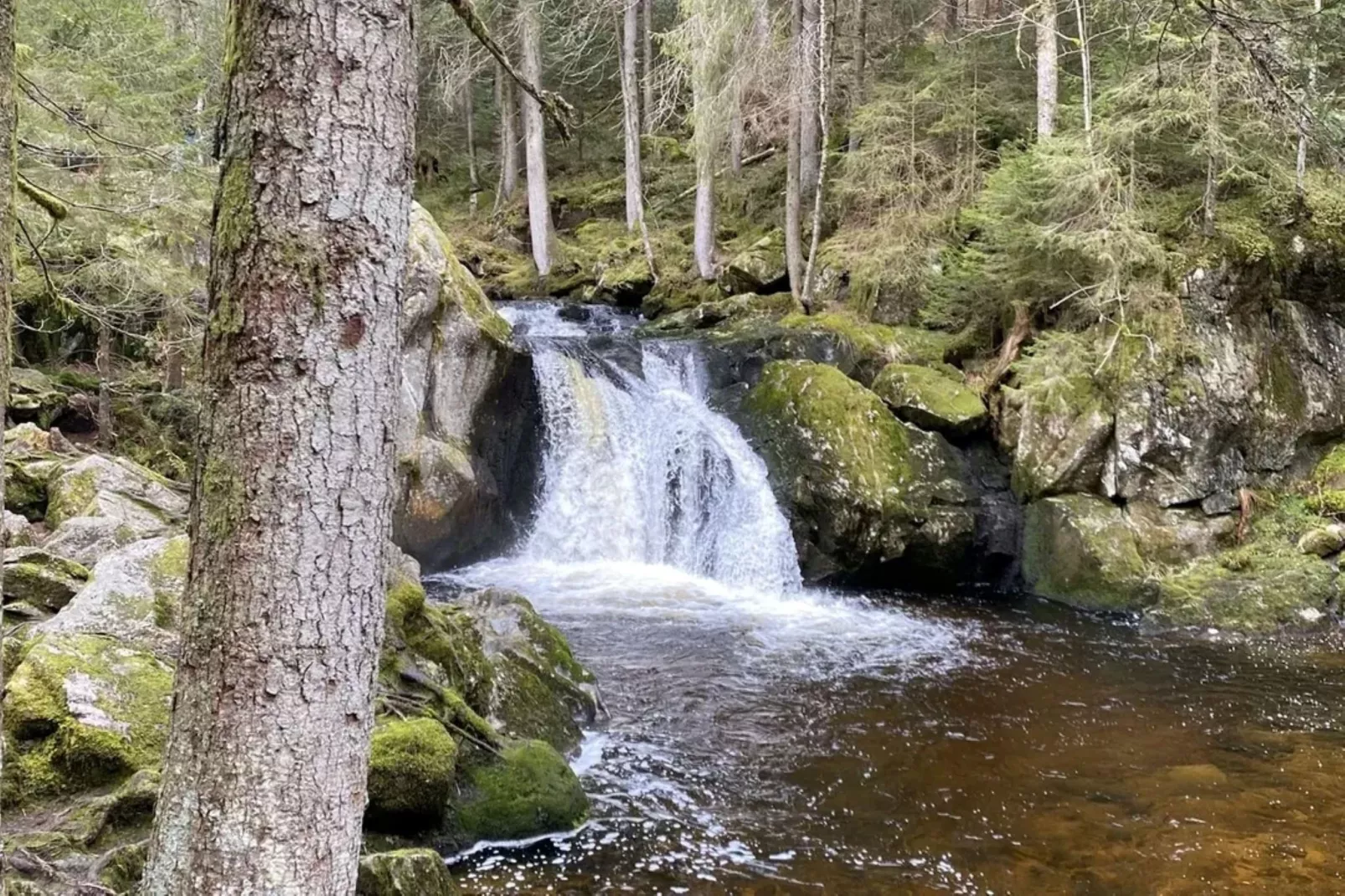 Ferienwohnung Herrischried an der Skipiste