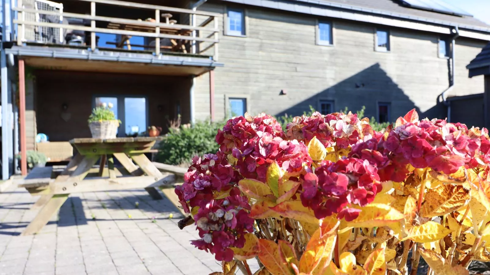 Petit Wilogne-Ambiente