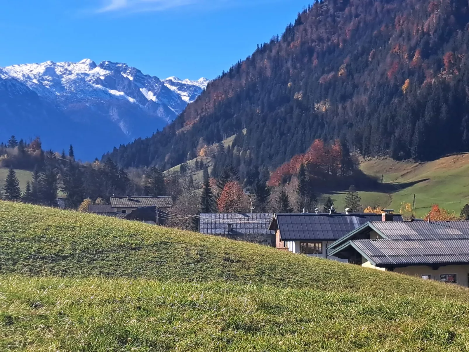 Appartement 1-Draußen