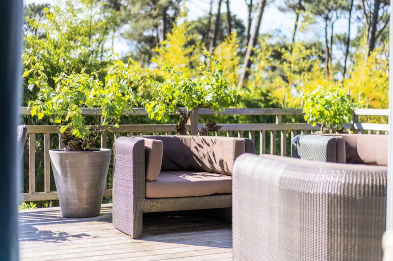 Maison à Pyla sur Mer-Nicht zugeordnet