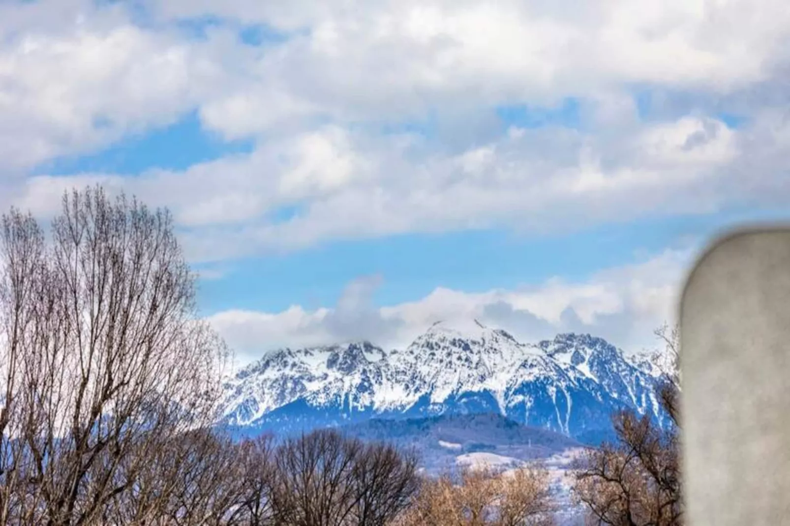 | The Precious 💎 Paul Mistral-Nicht zugeordnet