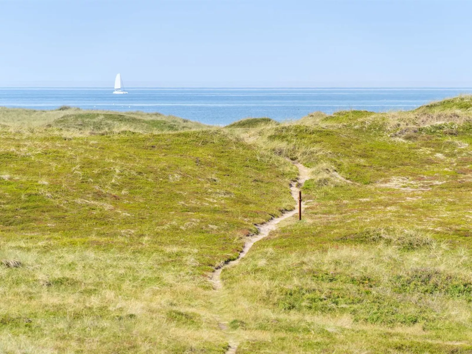 "Bernice" - 150m from the sea-Draußen