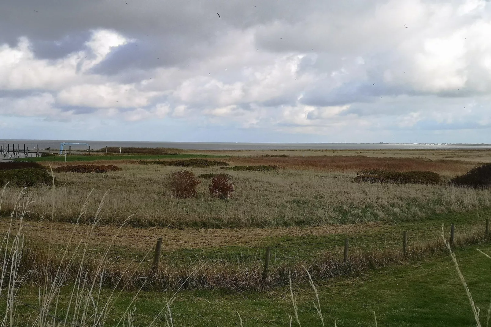 Ferienhaus Seeschwalbe-Areas within 5km in summer