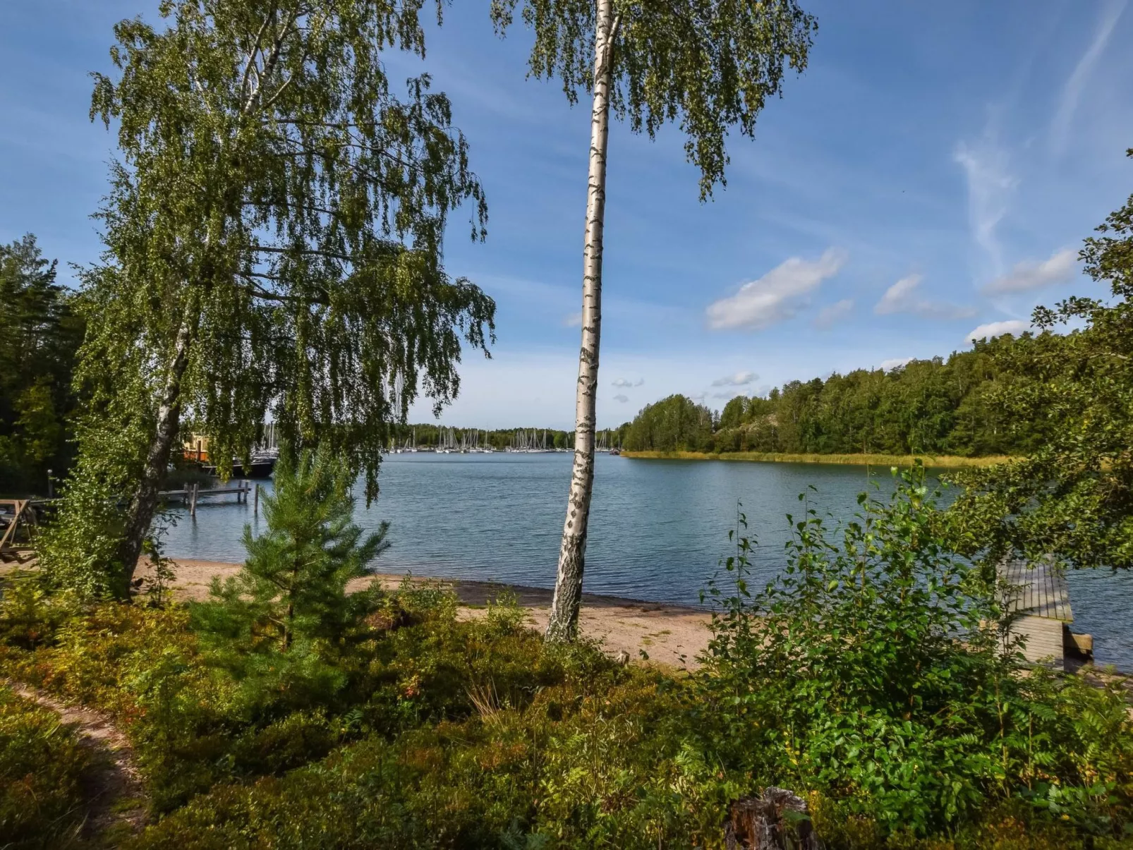 Isokoskelo 5-Drinnen