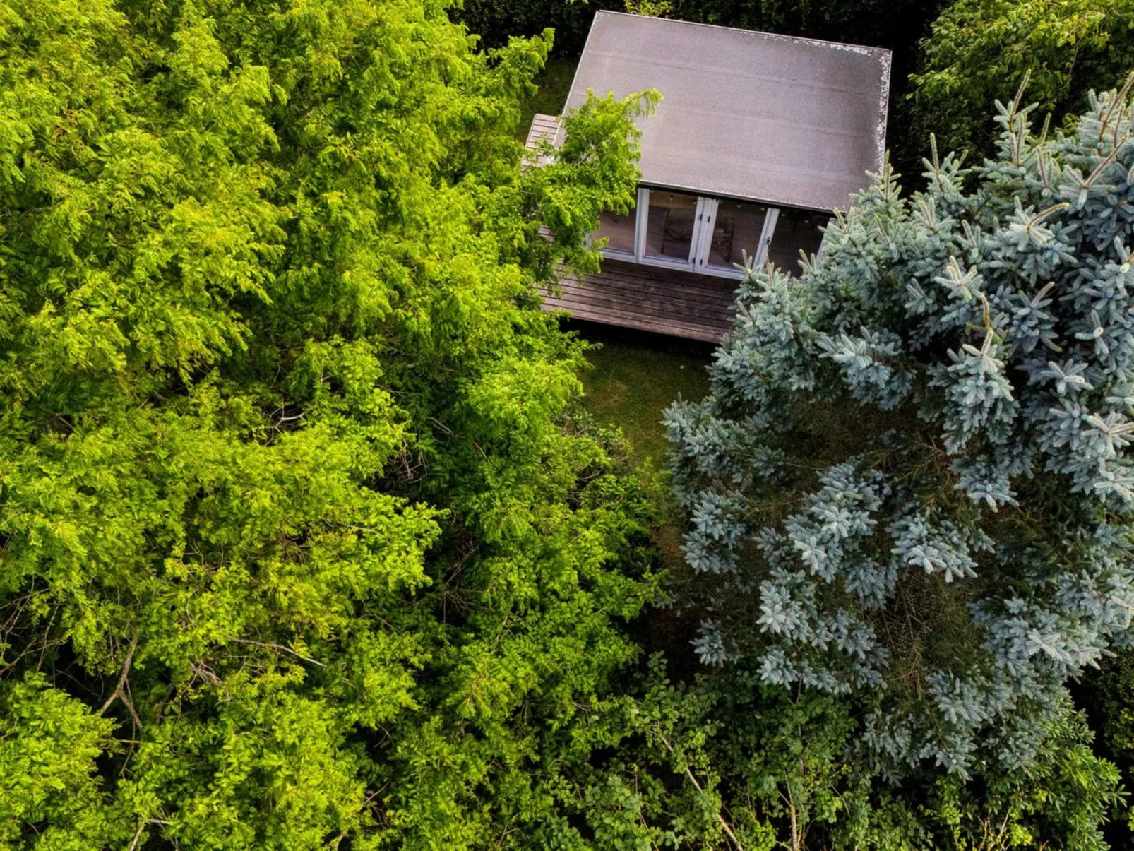 "Lauri" - 2.3km from the sea-Outside