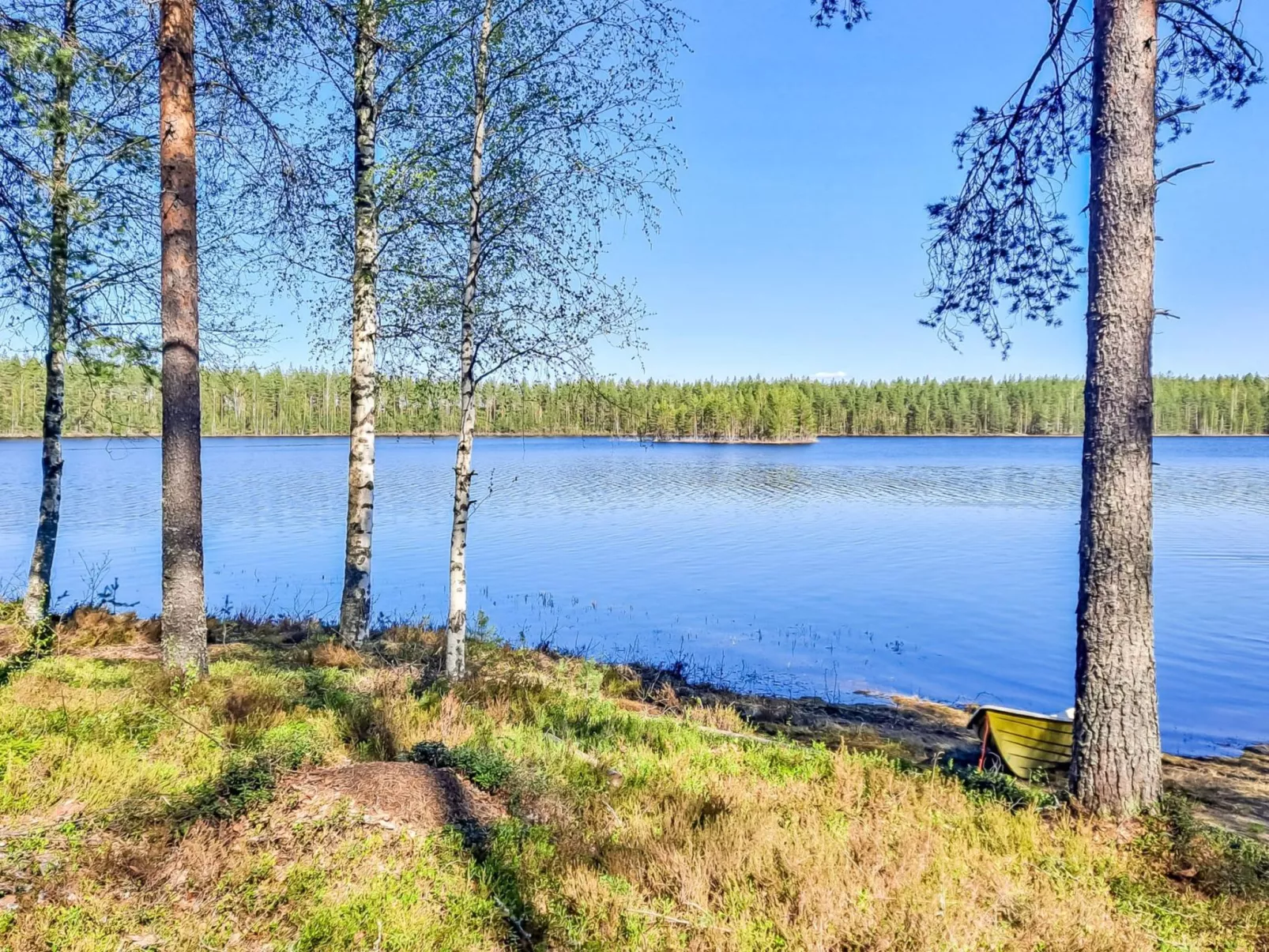 Pilkkaniemi - Dedans